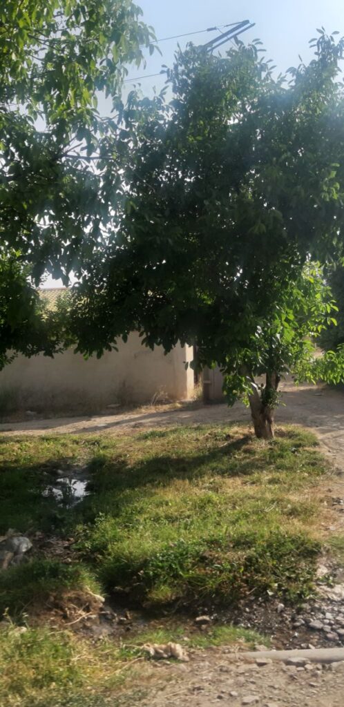 جابان فروش باغچه 400متری دیوار شده