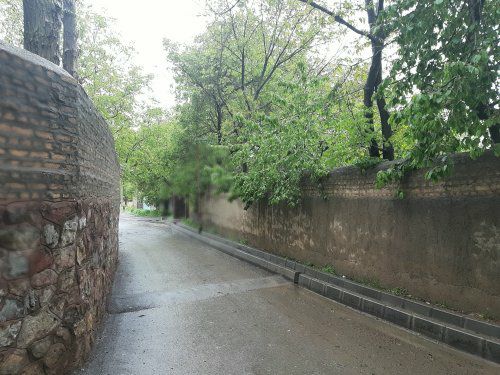 جابان باغچه 500متری بهترین خیابان داخل بافت