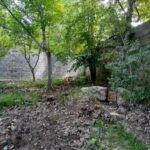 جابان باغچه 500متری بهترین خیابان داخل بافت