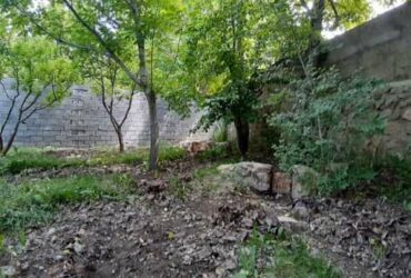 جابان باغچه 500متری بهترین خیابان داخل بافت