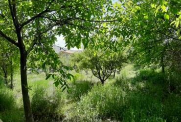 جابان باغچه 1000متری