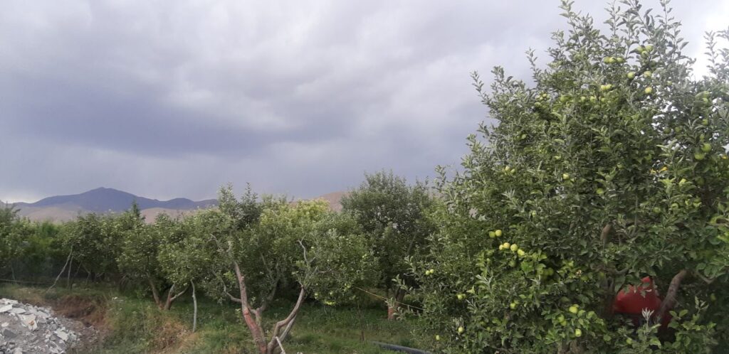 جابان باغچه با ویلا مدرن شیک ویو عالی مدرن