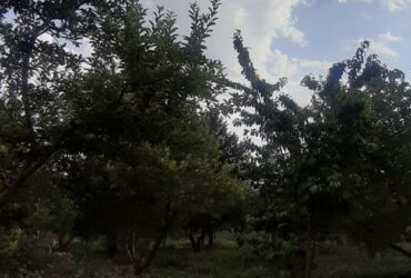 جابان باغچه با ویلا  مدرن شیک ویو عالی مدرن