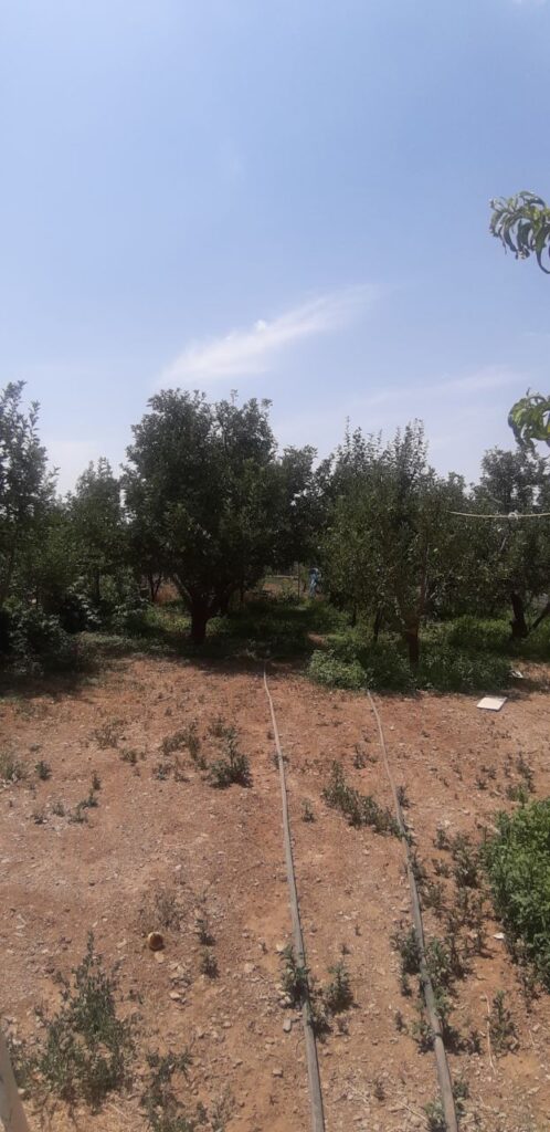 جابان ویلا دوبلکس 120 متری