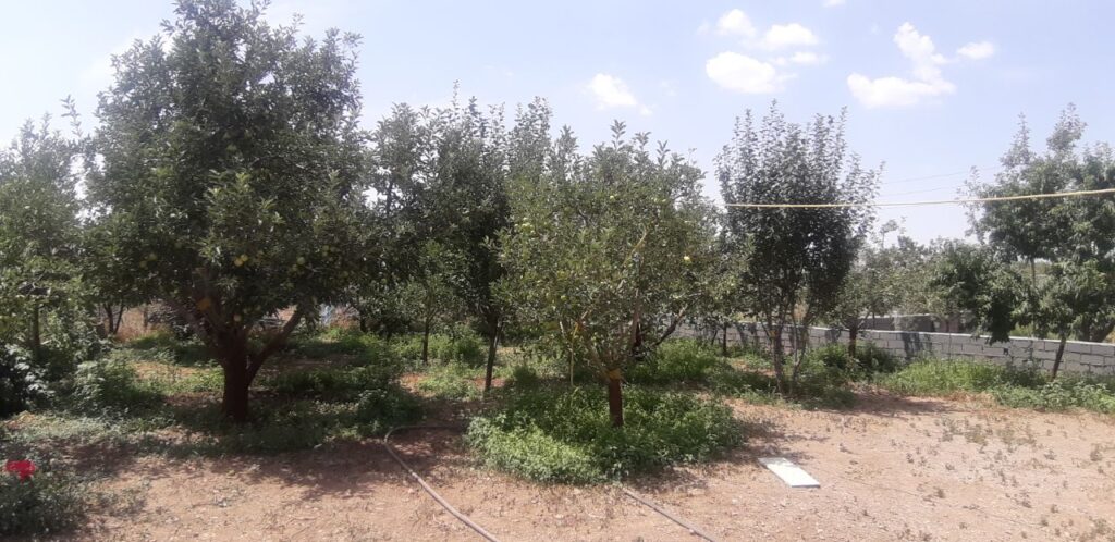 جابان ویلا دوبلکس 120 متری