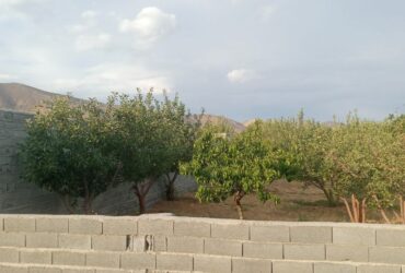 جابان باغچه 350 متری  دیوار شده