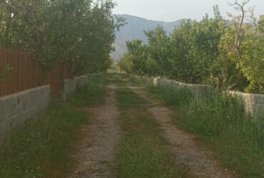 جابان باغچه 500 متری