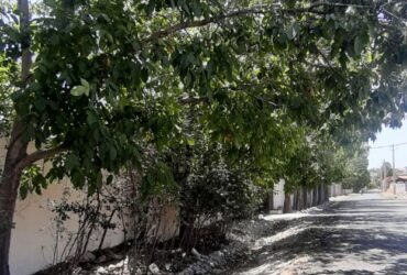 جابان زمین داخل شهرک خوب 300 متری