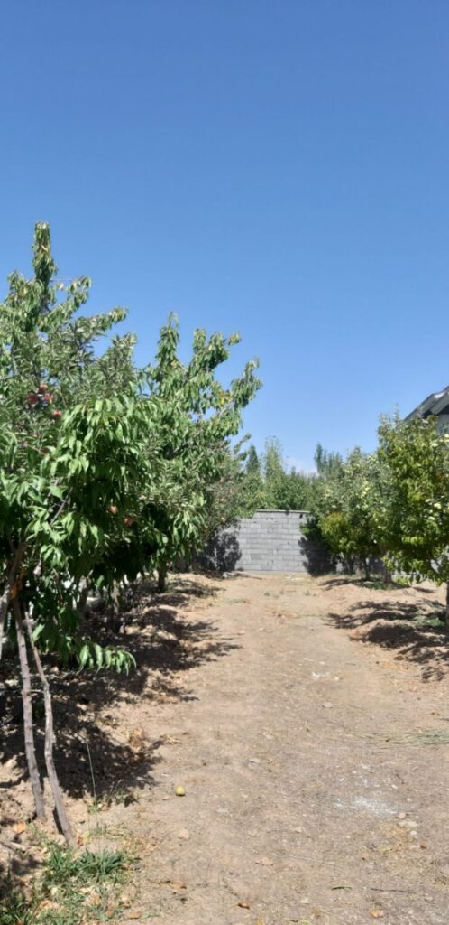 جابان باغچه 500 متری