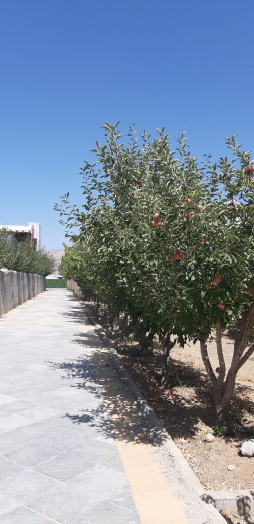 جابان باغچه 500 متری