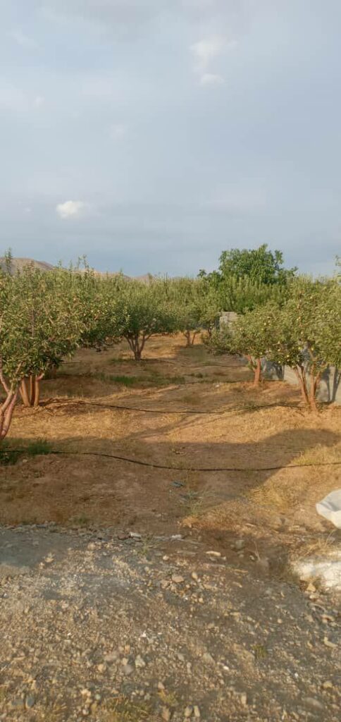 جابا باغچه 360 متری