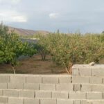 جابا باغچه 360 متری