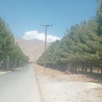 جابان باغچه  500 متری