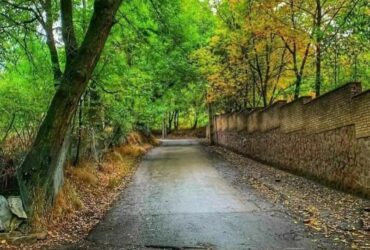 جابان باغ قدیمی2000 متری