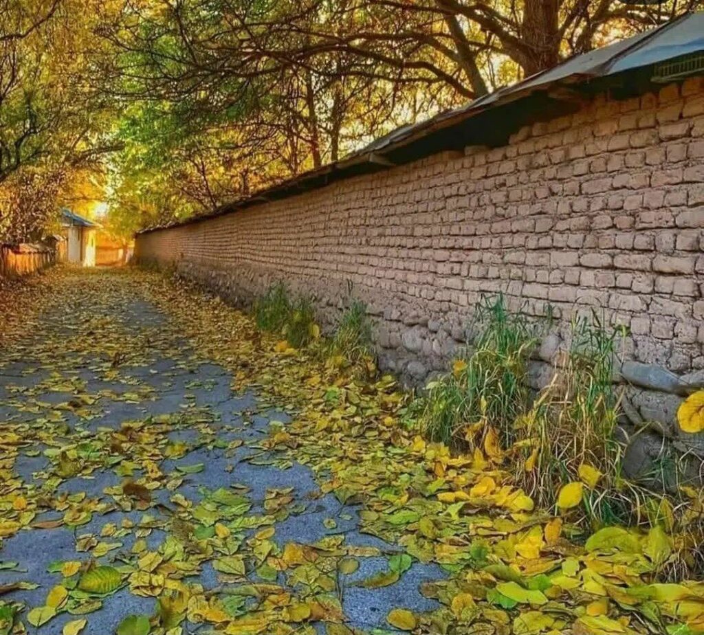 جابان باغ قدیمی2000 متری