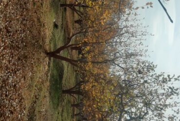 جابان باغچه 400 متری