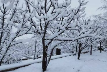 اینورزان  زمین  با ویو بی نظیر