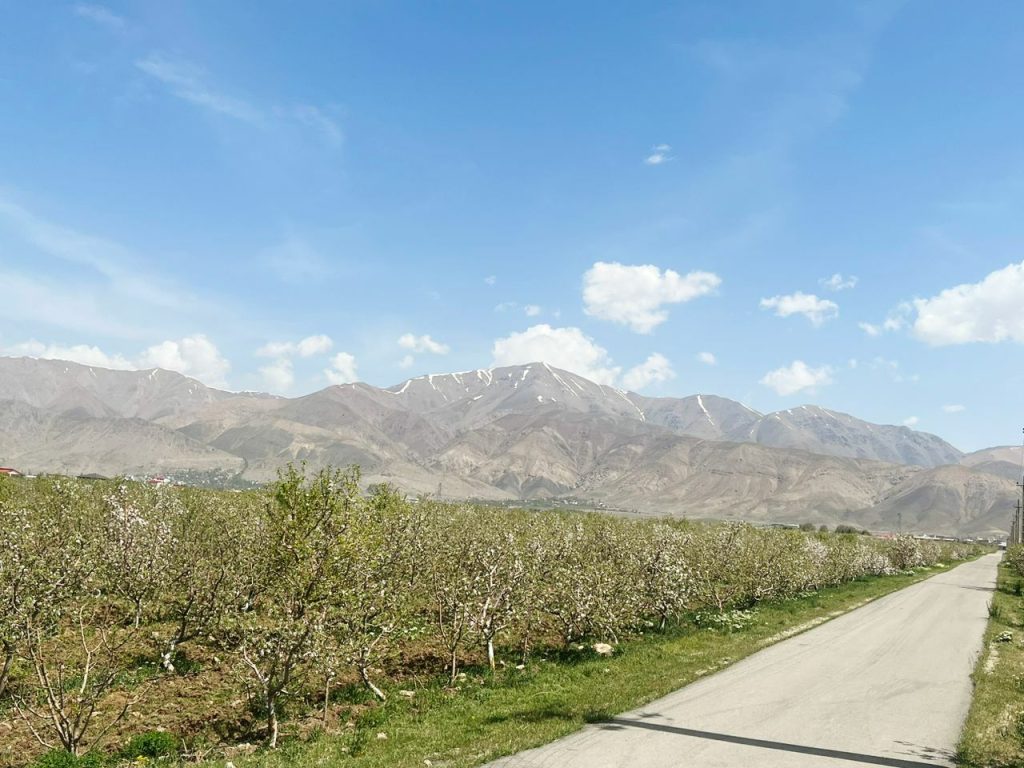 جابان باغچه 500 متر دیوار شده قیمت بسیار مناسب