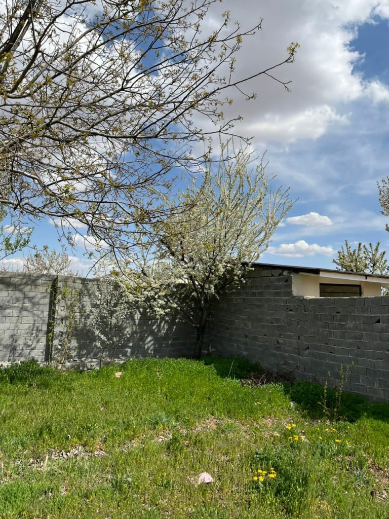 جابان باغچه 500 متر دیوار شده قیمت بسیار مناسب