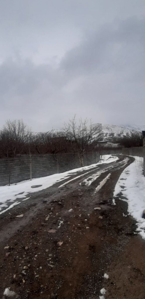 جابان  باغ و زمین داخل بافت