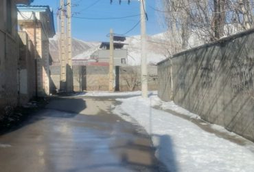 جابان  باغ دیوار شده