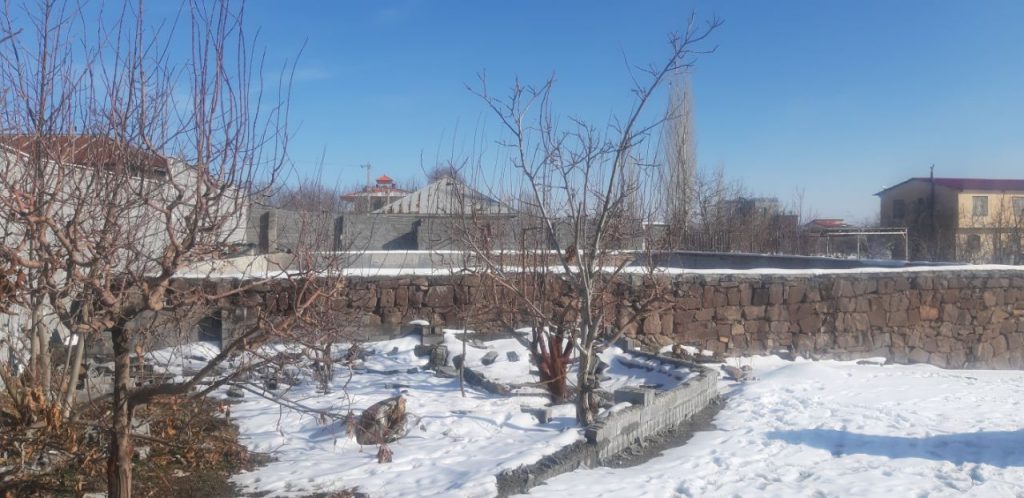 جابان  باغ دیوار شده