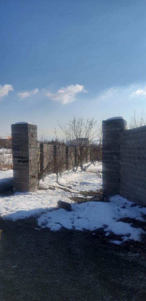 جابان  باغ دیوار شده