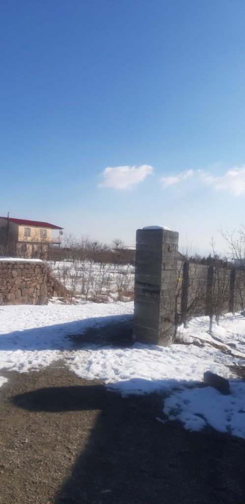 جابان  باغ دیوار شده