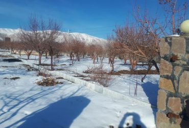 جابان 600مترباغ