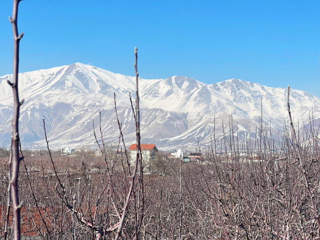 جابان 600مترباغ