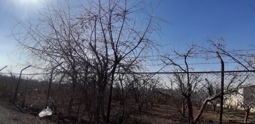 جابان باغچه 800 متر