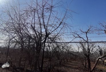 جابان باغچه 800 متر