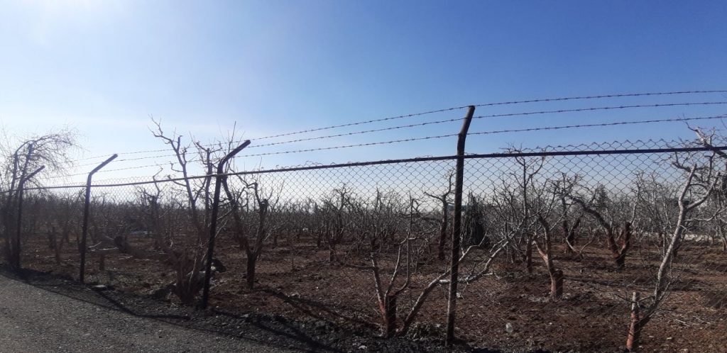 جابان باغچه 800 متر