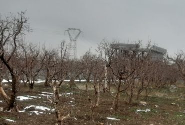 جابان باغ 380متری