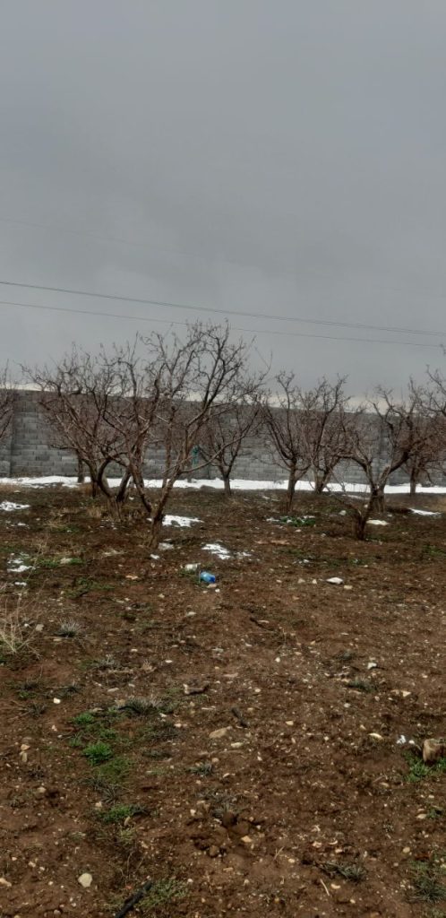 جابان باغ 380متری