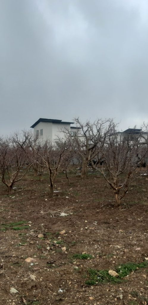 جابان باغ 380متری