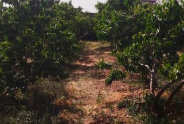 جابان باغچه 500 متری  با استخر