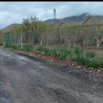 جابان باغ فروشی 900 متر