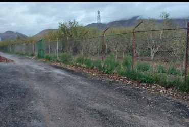 جابان باغ فروشی 900 متر