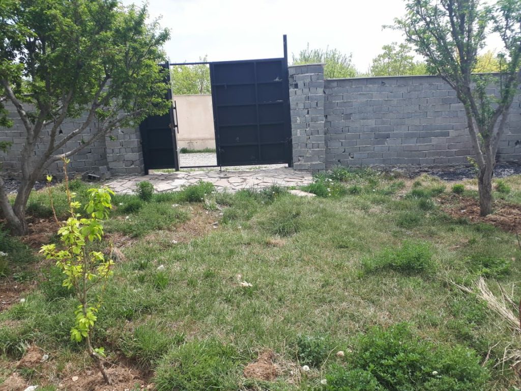 جابان باغچه دیوارشده