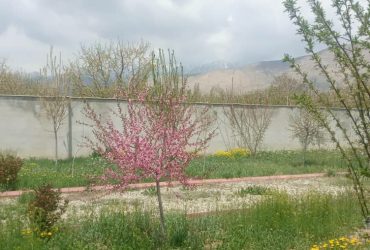 دماوندجابان باغچه 1000 متری باغستان