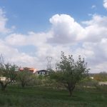 جابان باغ دیوار شده با (((سند شش دانگ)))