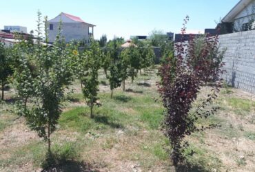 جابان باغچه 750 متر