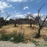 جابان زمین 300 متر دیوارشده