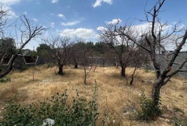 جابان  زمین 300 متر دیوارشده