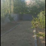 جابان باغچه 350 متری