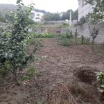 پل سفید مازندران انارم