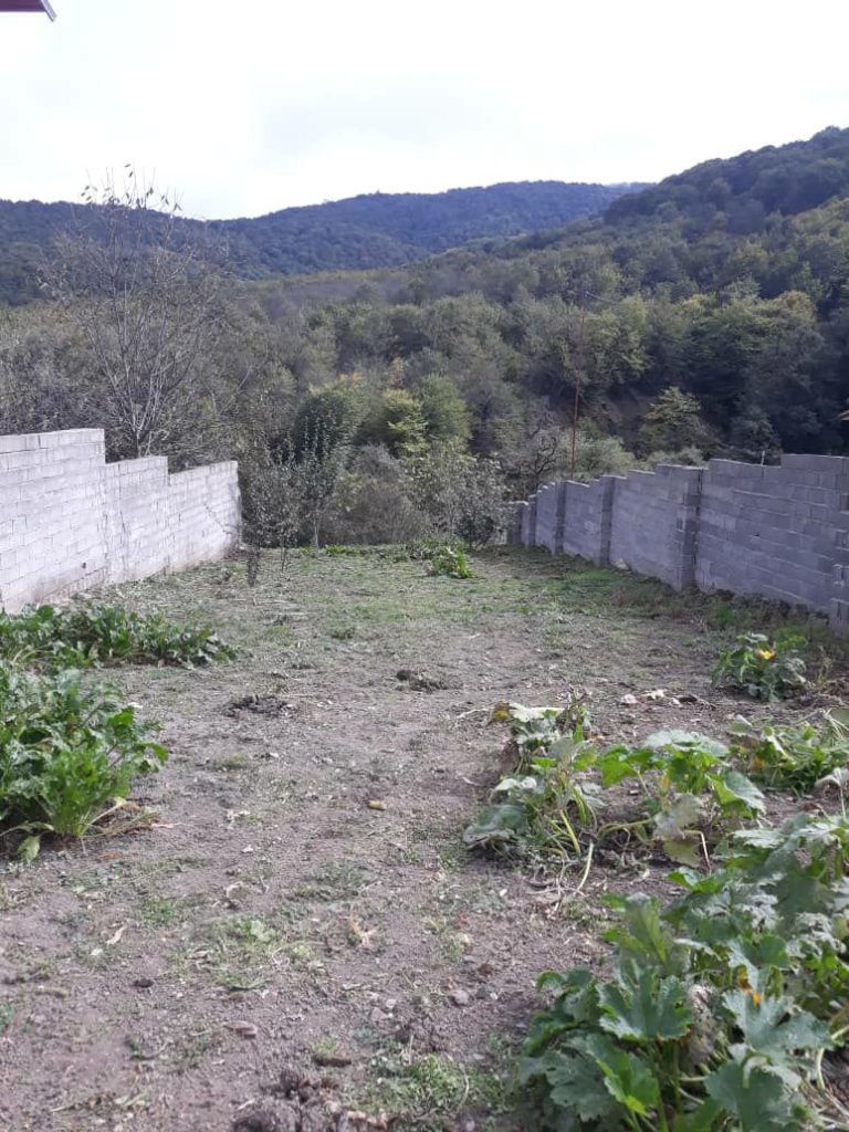 پل سفید مازندران انارم