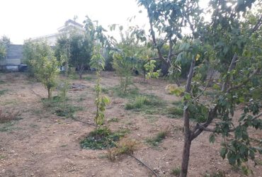 جابان  زمین داخل شهرک