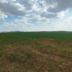 زمین 4 هکتاری